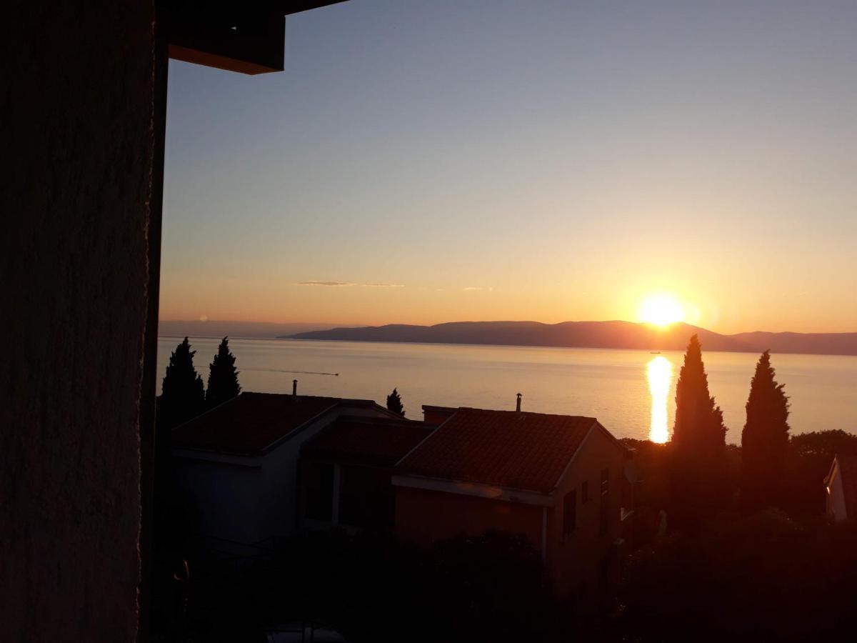 Lavandula Labin  Kültér fotó